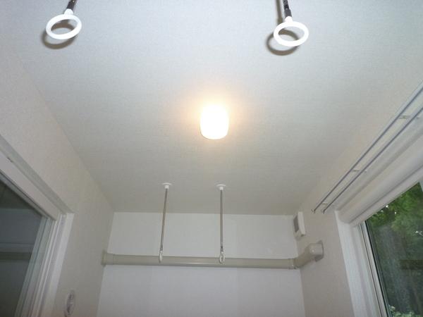 フォレストパーク・七番館（102） 部屋画像