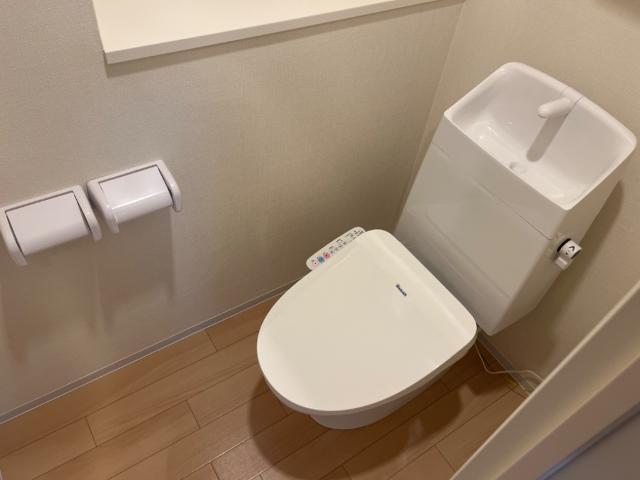 サリエンテ トイレ