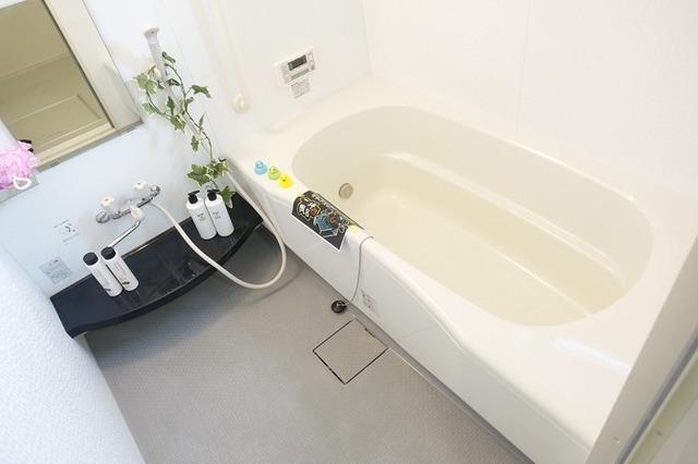グレイスソシアキトロ（105） 部屋画像