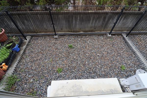 近江八幡市十王町テラスハウス 庭