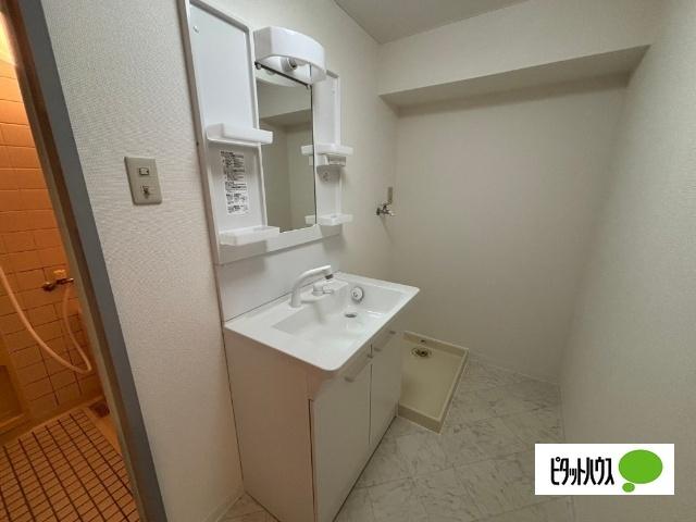 GreenResidence長浜（305） 洗面