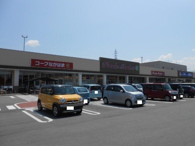 コープながはま店様：300m