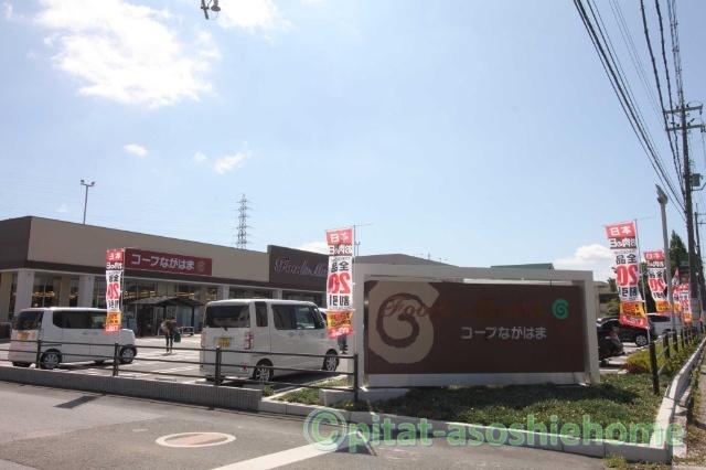 コープながはま店：244m