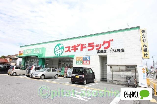 スギ薬局高田店：589m