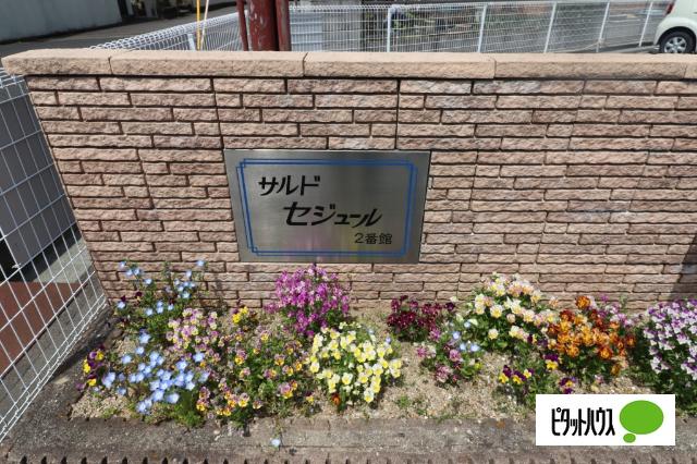 野洲市行畑アパート その他