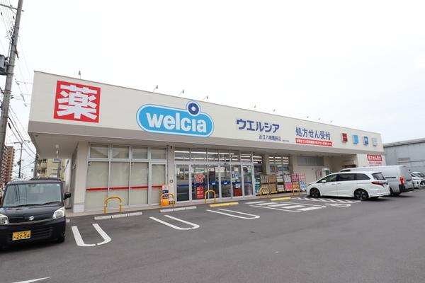 ウエルシア近江八幡鷹飼店