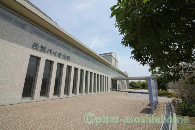 大学