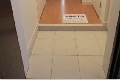 アイビーテラス（601） 玄関