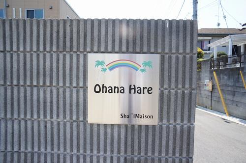 Ohana　Hare　C（206） その他