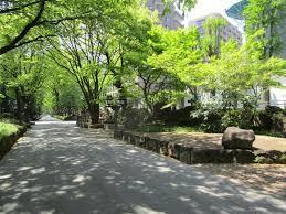 氷川緑地：1139m