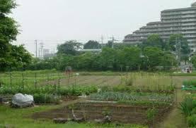 山久保自然緑地：1186m
