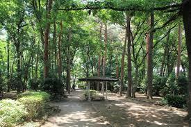 駒場緑地：1326m