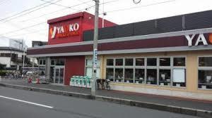 ヤオコー大宮上小町店：299m