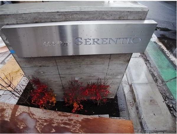 SERENTIO（302） その他
