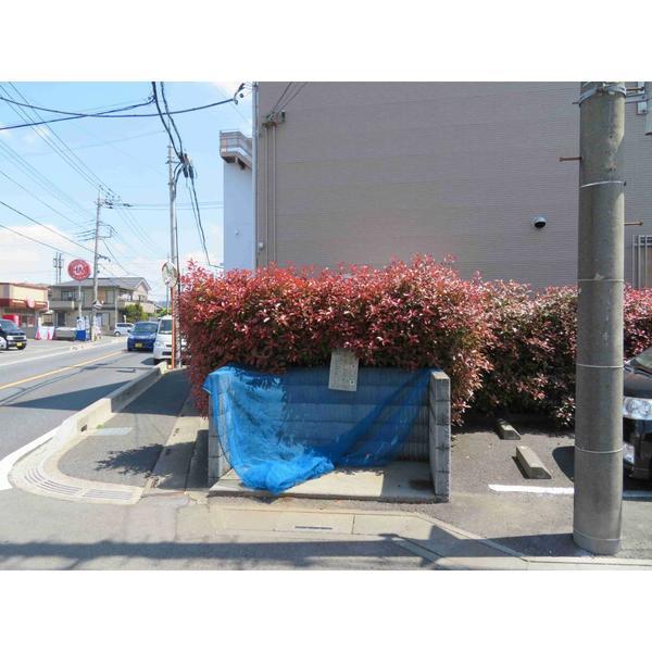 プリームラ（101） その他
