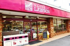 ナチュラルローソン大宮中央通り店：213m