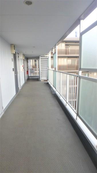 Comodo Vita（802） 部屋画像