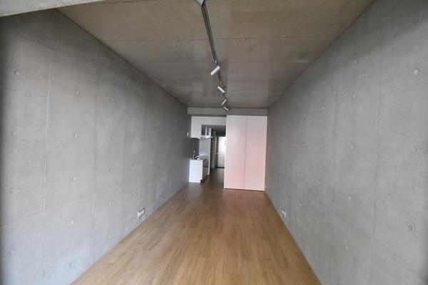 FUKUMI　APARTMENT（403） リビング