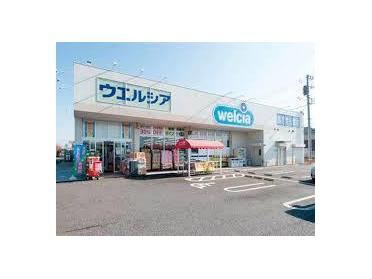 ウエルシアさいたま栄和店：899m