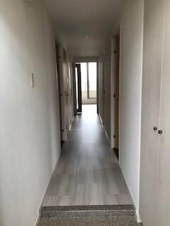 ロイヤルメドゥ北戸田（405） 部屋画像