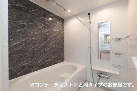 コスモステラス　ウエスト（303） 部屋画像