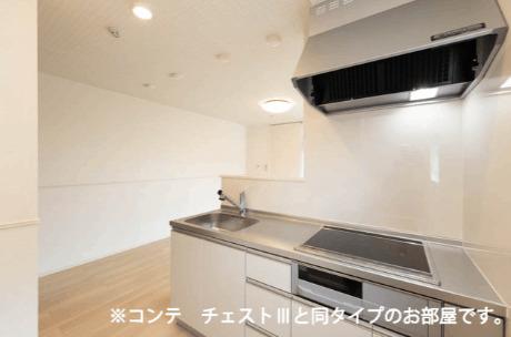コスモステラス　ウエスト（303） 部屋画像