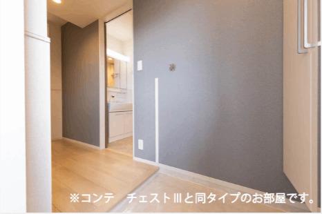 コスモステラス　ウエスト（303） その他部屋・スペース