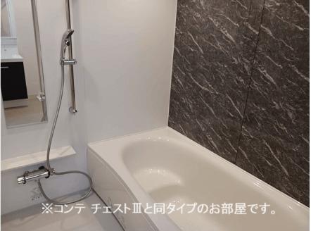 コスモステラス　ウエスト（102） 部屋画像