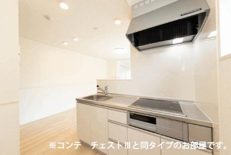 コスモステラス　ウエスト（103） 部屋画像