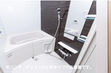 ルミエ　エトワール（301） 部屋画像