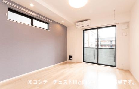 ルミエ　エトワール（301） 部屋画像
