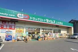 ドラッグセイムス上小町店：759m