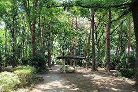 駒場緑地：988m