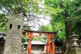 大谷場氷川神社ふるさとの森：2009m