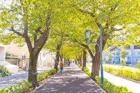花と緑の散歩道：400m