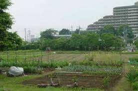 山久保自然緑地：1207m