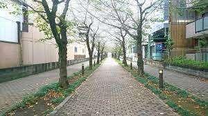 辻8丁目緑道：143m