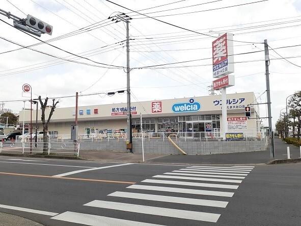 ウエルシアさいたま大谷口店：909m