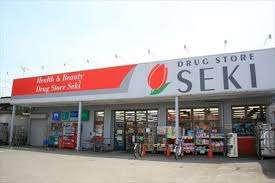 ドラッグストアセキ上小町店：378m