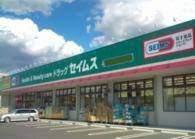 ドラッグセイムス堀の内店：220m