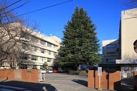 埼玉県立大宮高校：438m