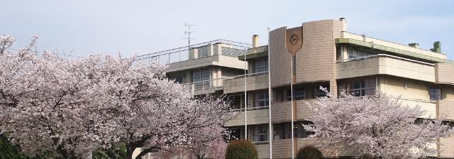 さいたま市立上木崎小学校：488m