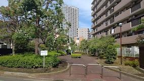 公園