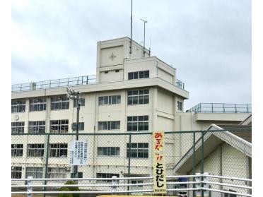 仙台市立鹿野小学校：759m