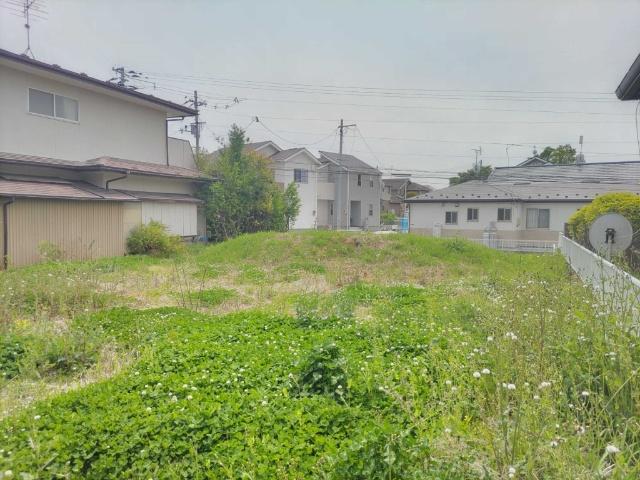 土地1