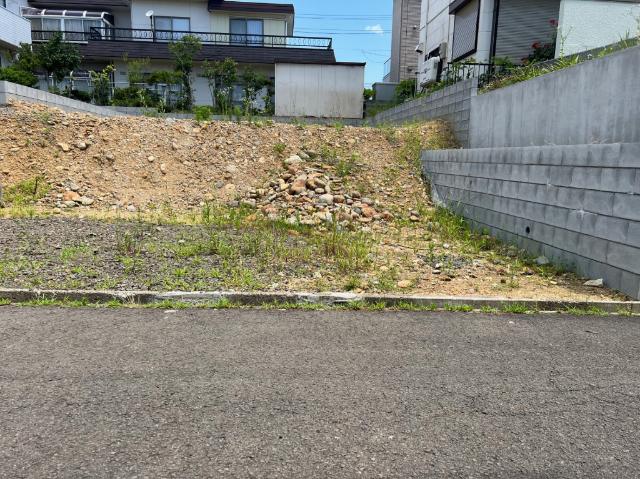 土地1