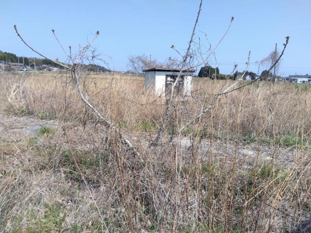 相馬市日下石の条件なし土地 土地画像