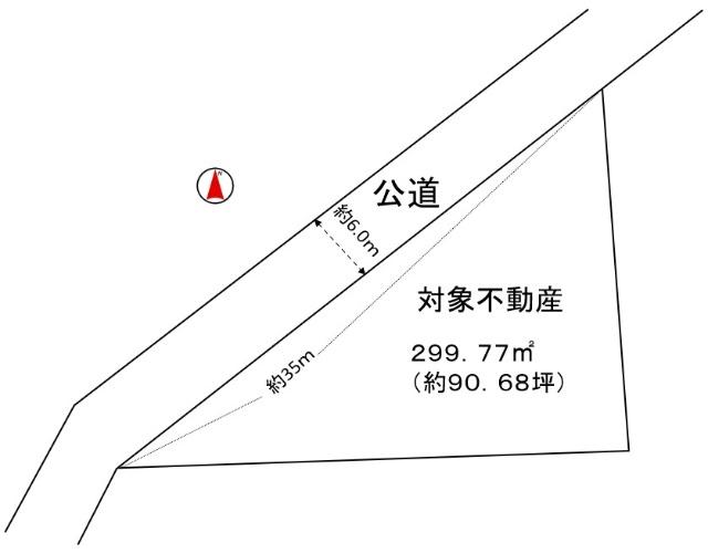 概略図