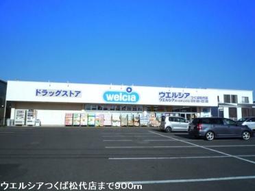 ウエルシアつくば松代店：900m