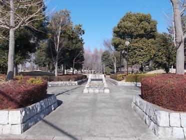 高野台公園：300m